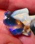 Lightning Ridge Rough Opal 13.50cts Black/Dark Seam formation showing some gorgeous blues 18x18x10mm 1404