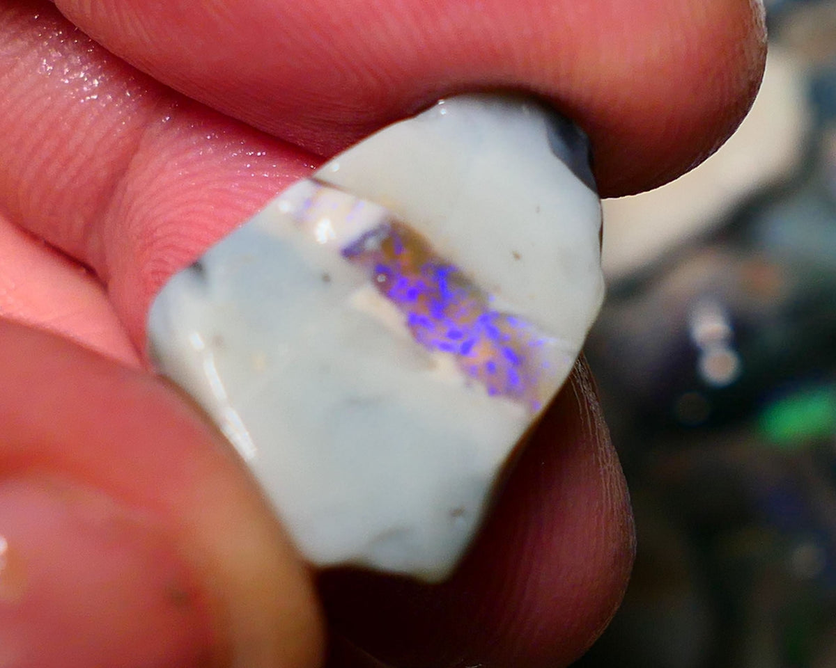 Lightning Ridge Rough Opal 12.25cts Grey base Seam opal showing a band of blue colour 20x14x6mm 1403