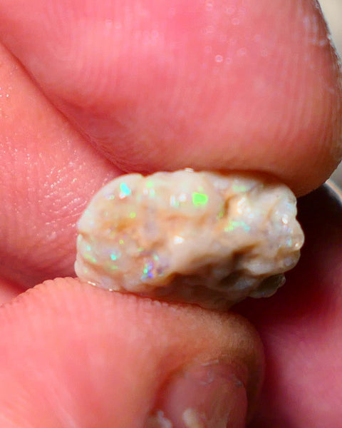 Lightning Ridge Rough Opal 4cts Small knobby formation showing some bright multicolour 14x10x5mm 1411