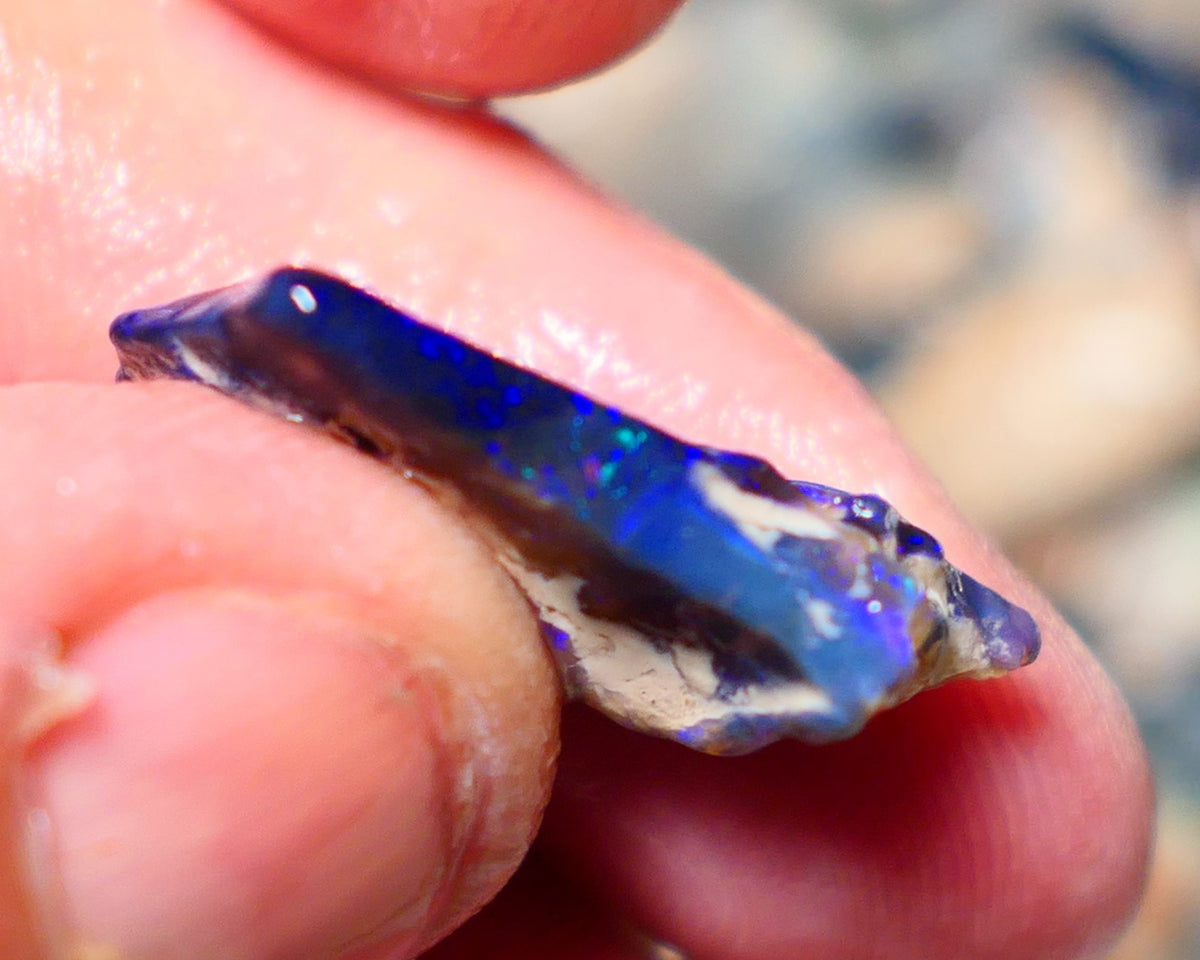 Lightning Ridge Rough Opal 12cts Black Seam formation showing lots nice Blues 20x18x11mm 1344