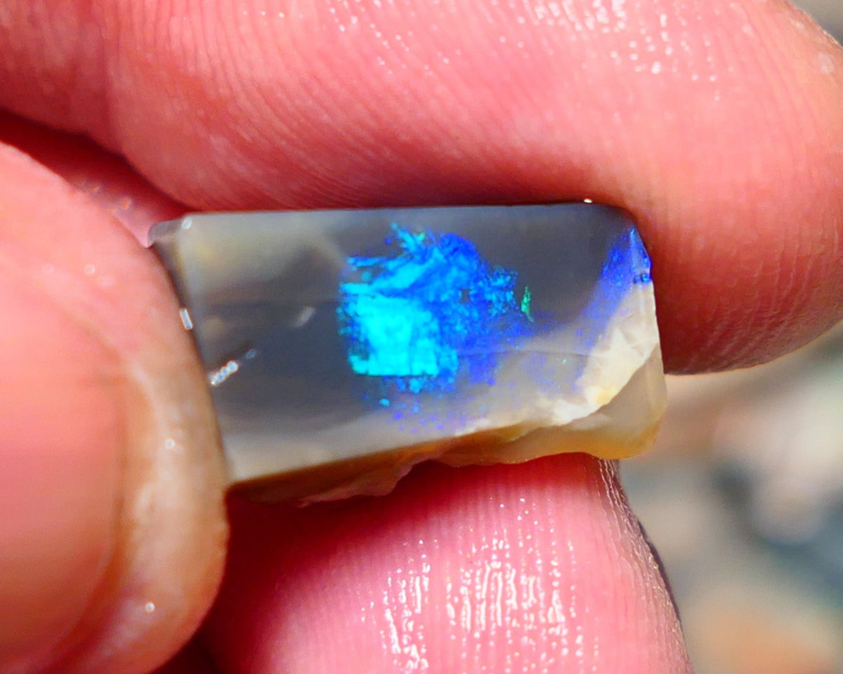 Lightning Ridge Opal Dark Base Seam Rough / Slice / Rub 9.15cts Bright Blue Green & Teal fires gorgeous pattern  15x9x8mm 1342