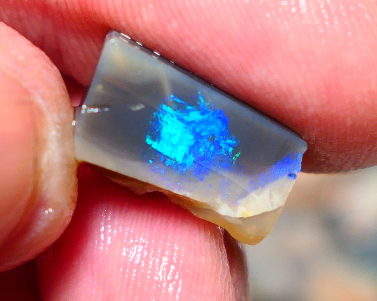 Lightning Ridge Opal Dark Base Seam Rough / Slice / Rub 9.15cts Bright Blue Green & Teal fires gorgeous pattern  15x9x8mm 1342