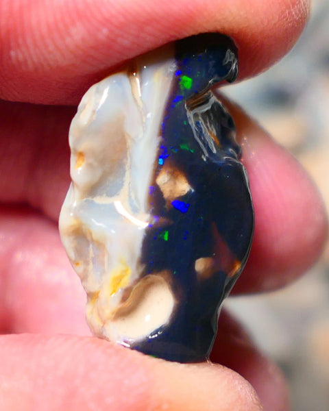 Lightning Ridge Rough Opal 19cts Black base Seam showing Green and blue fires 28x17x11mm 1338