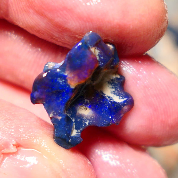 Lightning Ridge Rough Opal 8.50cts Black knobby formation showing some nice Blues 20x18x11mm 1343