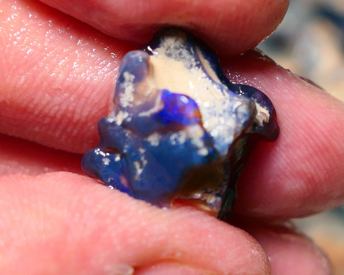 Lightning Ridge Rough Opal 8.50cts Black knobby formation showing some nice Blues 20x18x11mm 1343