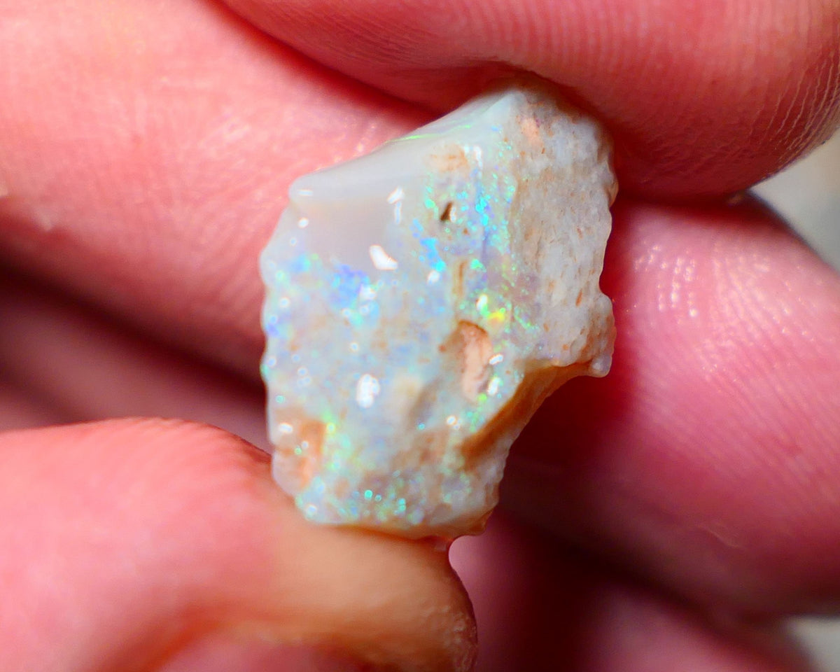 Lightning Ridge Rough Opal 5.25cts Dark base Seam showing bright Green blues Teal colours  20x13x4mm A1528