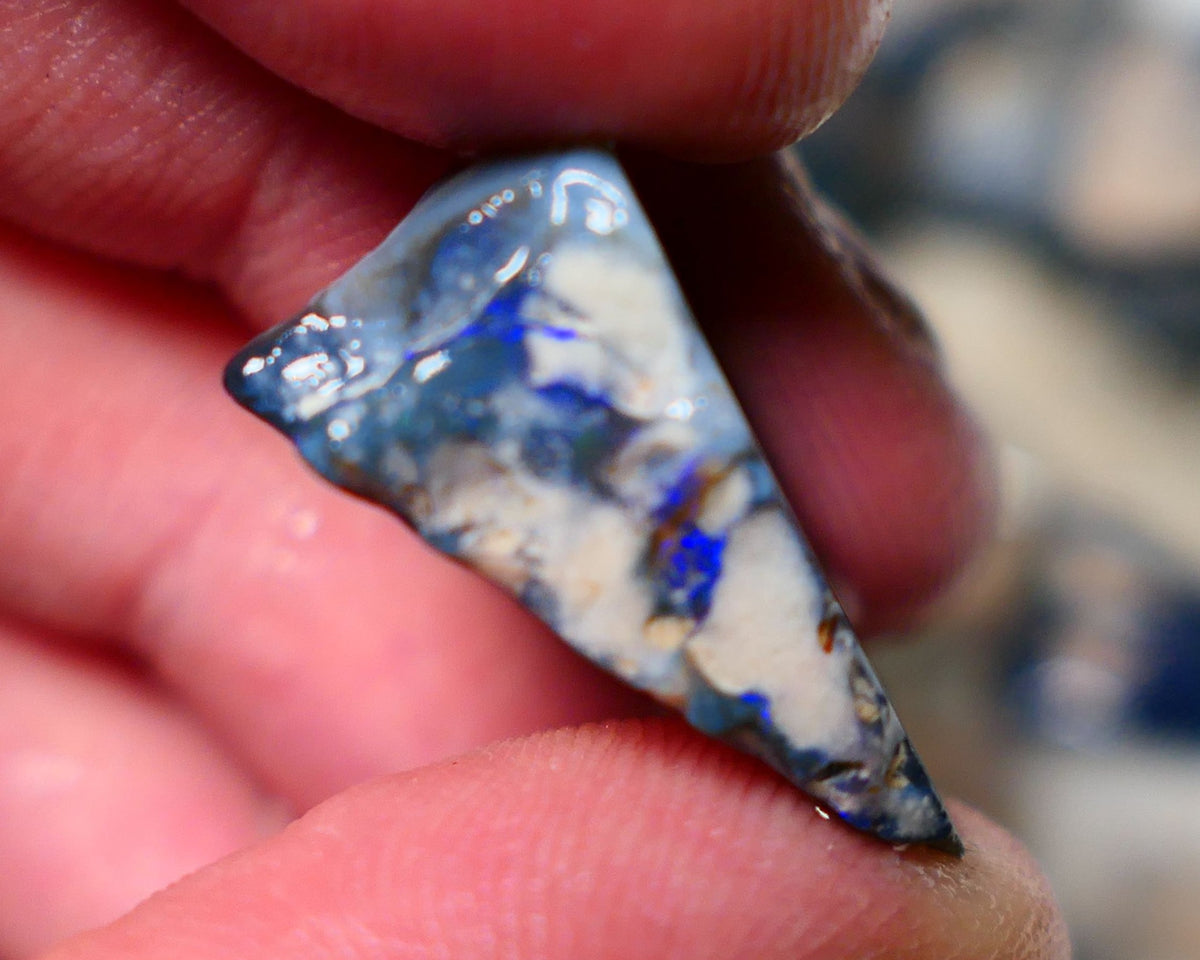 Lightning Ridge Rough Opal 13cts Black Seam Slice showing some bright blues colours 23x12x11mm A1525