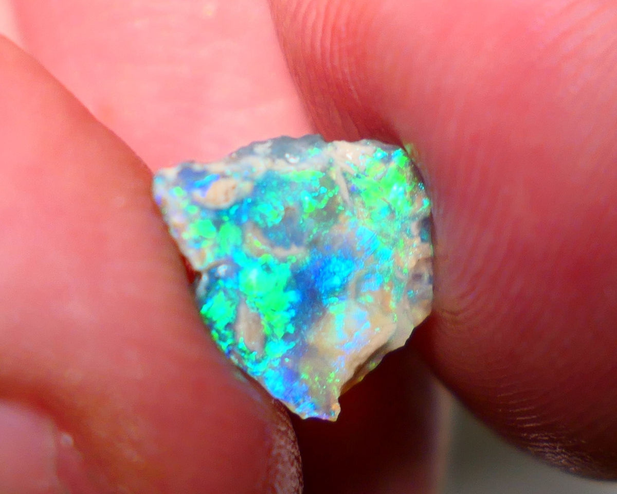 Lightning Ridge Opal Crystal base rub/rough 2cts showing Electric Vibrant & vivid super bright Green/Blue fires 12x10x3mm A1507