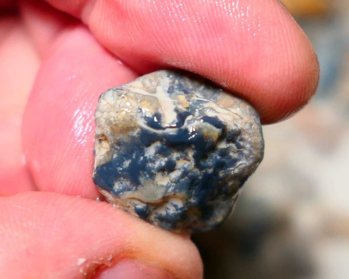 Lightning Ridge Untouched knobby Opal Rough 14cts some blue fires 19x18x9mm A1506