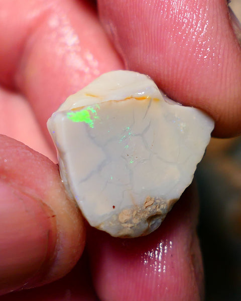 Lightning Ridge Opal Grey/Light base rub 22cts showing some Bright Green fires 20x18x10mm A1503