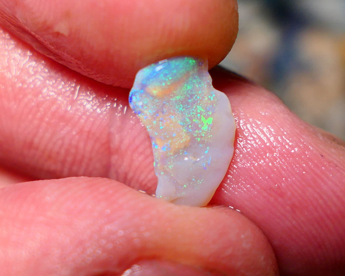 Lightning Ridge Untouched small Seam Opal Rough 1.3cts showing nice multicolours 14x9x2mm A1504