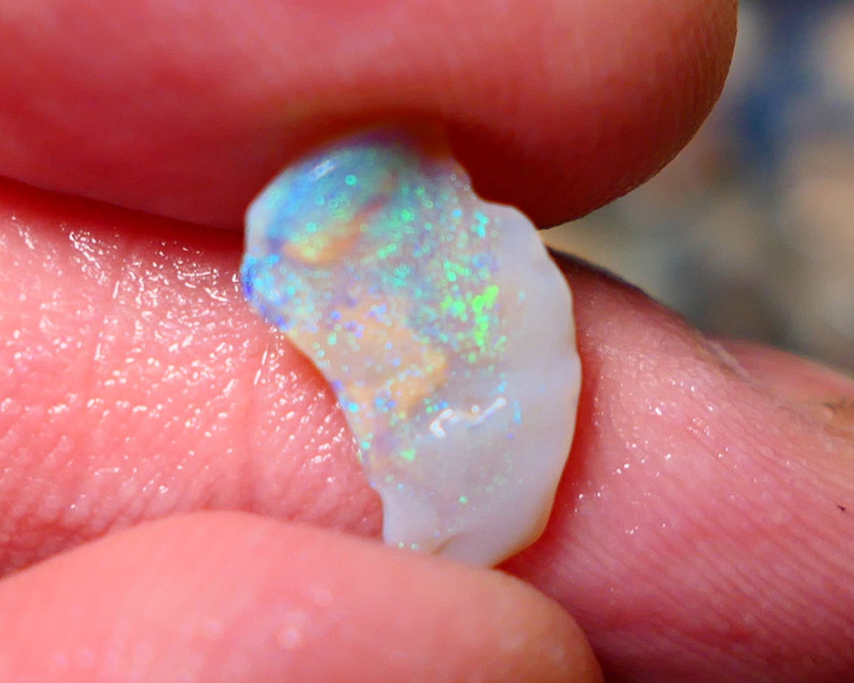 Lightning Ridge Untouched small Seam Opal Rough 1.3cts showing nice multicolours 14x9x2mm A1504