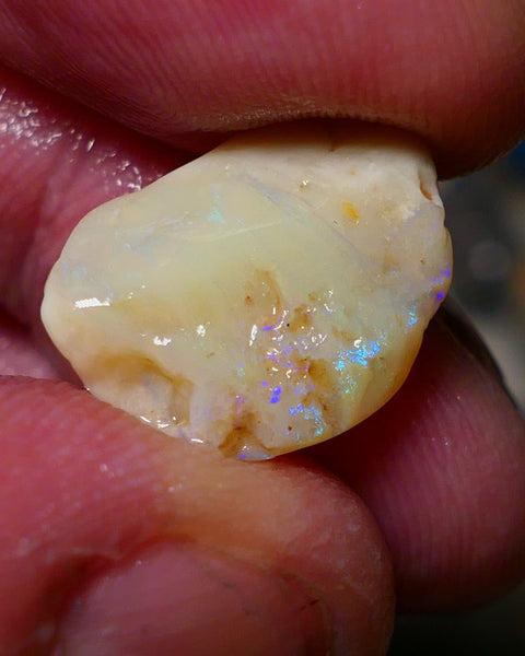 Lightning Ridge Seam Opal Rough 7.50cts showing nice exposed blues 17x13x5mm A1502