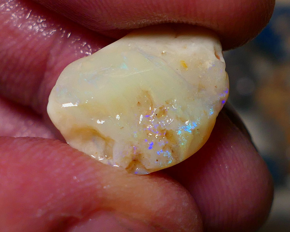 Lightning Ridge Seam Opal Rough 7.50cts showing nice exposed blues 17x13x5mm A1502