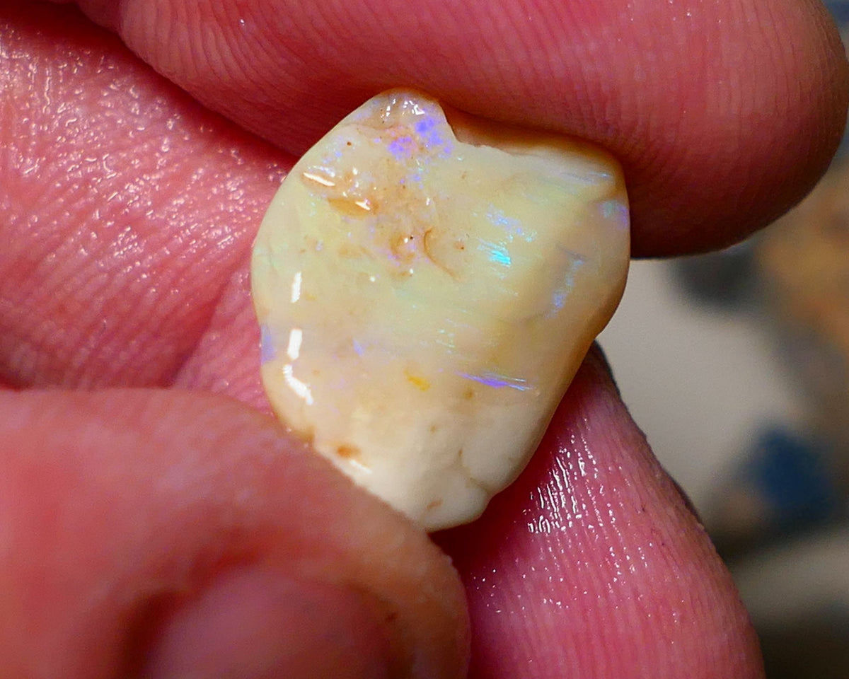 Lightning Ridge Seam Opal Rough 7.50cts showing nice exposed blues 17x13x5mm A1502