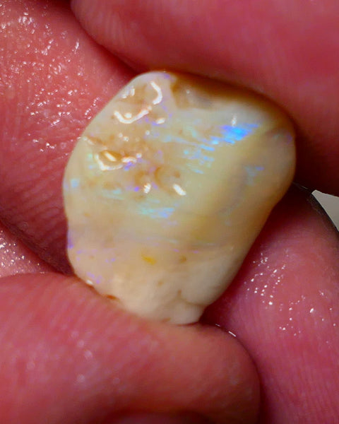 Lightning Ridge Seam Opal Rough 7.50cts showing nice exposed blues 17x13x5mm A1502