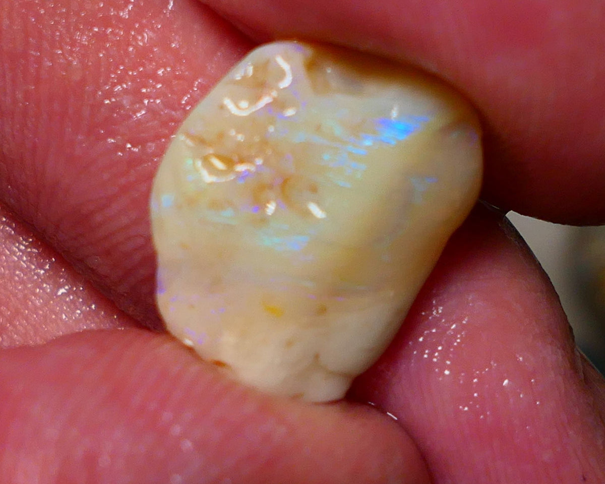 Lightning Ridge Seam Opal Rough 7.50cts showing nice exposed blues 17x13x5mm A1502