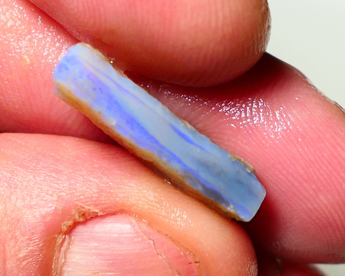 Lightning Ridge Rough Opal 8cts Dark base Seam showing some bright blues colours 21x9x5mm A1526