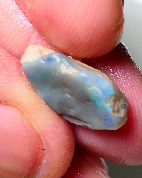 Lightning Ridge Rough Opal 7.70cts Untouched Dark Base Seam showing some some blues colours 18x12x9mm A1533