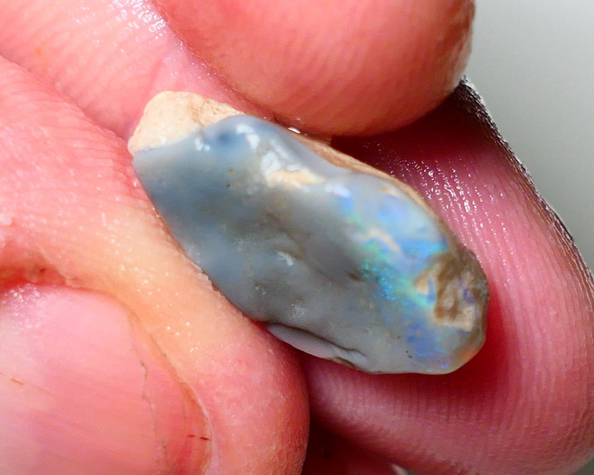 Lightning Ridge Rough Opal 7.70cts Untouched Dark Base Seam showing some some blues colours 18x12x9mm A1533