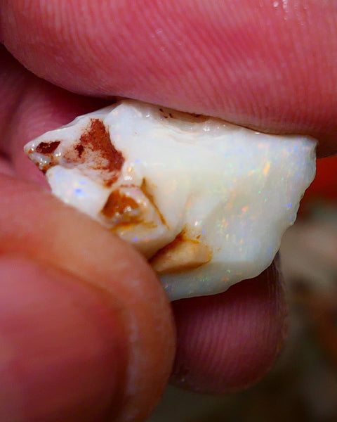 Coober Pedy Rough Opal 10cts White/Light Seam showing nice Yellow dominant multi colours 18x12x11mm A1532