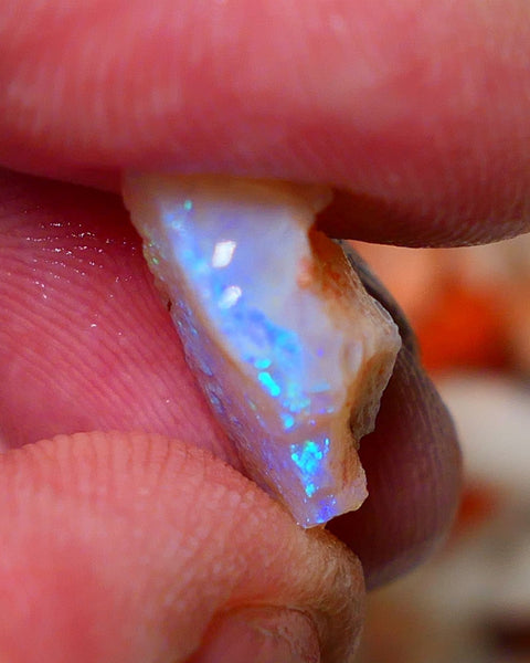 Coober Pedy Rough Opal 4.50cts Crystal Seam showing nice Bright  colours 16x9x6mm A1531