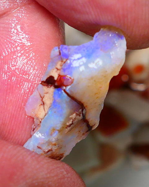 Coober Pedy Rough Opal 8.20cts Crystal Seam showing nice Bright  colours 29x14x5mm A1522