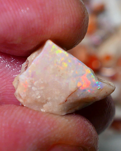 Coober Pedy Rough Rub Opal 8cts White/Light Seam showing Orange/Gold dominant multi colours 15x12x7mm NS021