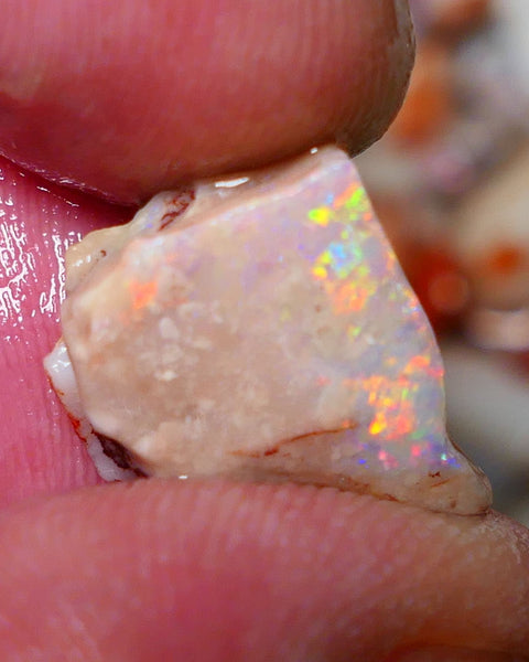 Coober Pedy Rough Rub Opal 8cts White/Light Seam showing Orange/Gold dominant multi colours 15x12x7mm NS021