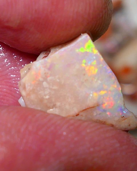 Coober Pedy Rough Rub Opal 8cts White/Light Seam showing Orange/Gold dominant multi colours 15x12x7mm NS021