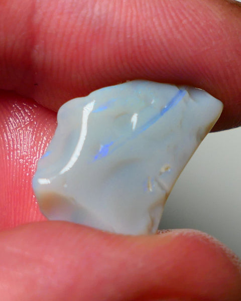 Lightning Ridge Rough Opal 8.25cts Dark Base Seam showing Nice bright blues colours 19X14X5MM a1541