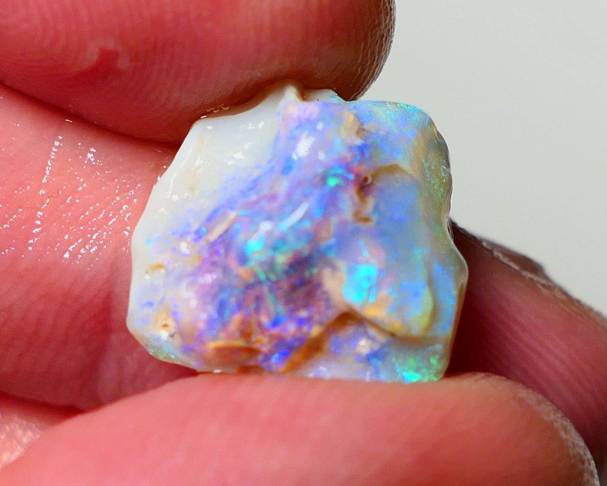 Lightning Ridge Rough Opal 5.75cts Dark Base Crystal Knobby showing Nice bright colours 14x12x7mm A1542