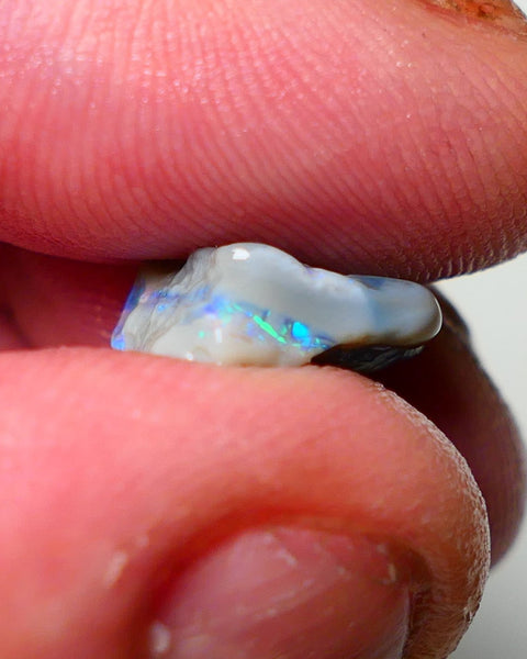 Lightning Ridge Rough Opal 4.50cts Dark Base Knobby showing Nice bright Blue/Green colours 14x13x5mm A1546