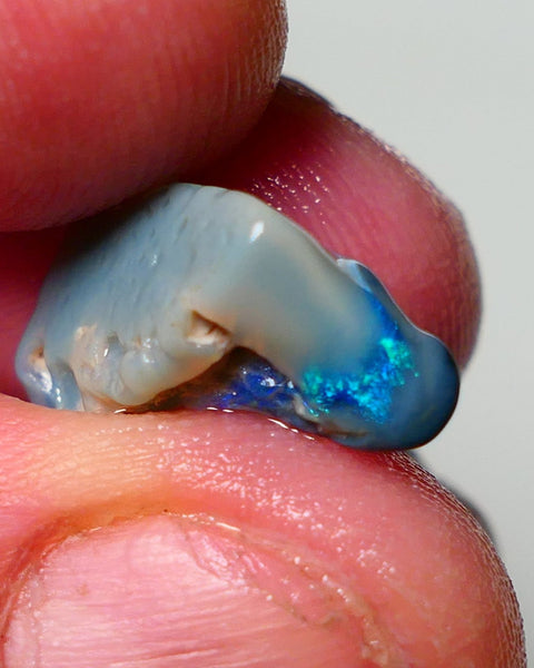 Lightning Ridge Rough Opal 4.25cts Dark Base Seam showing Gemmy bright Blue/Green 18x10x8mm A1547