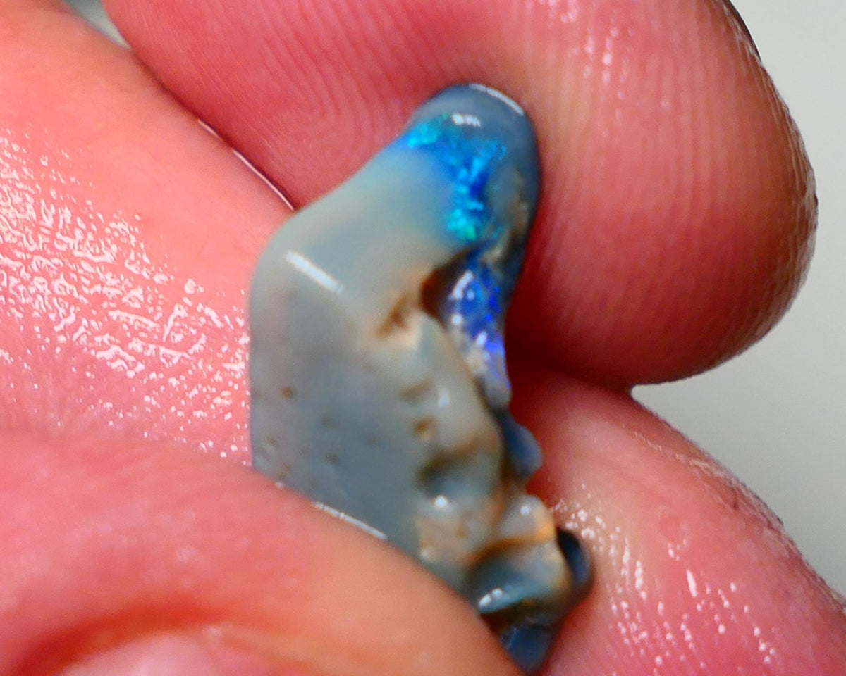 Lightning Ridge Rough Opal 4.25cts Dark Base Seam showing Gemmy bright Blue/Green 18x10x8mm A1547