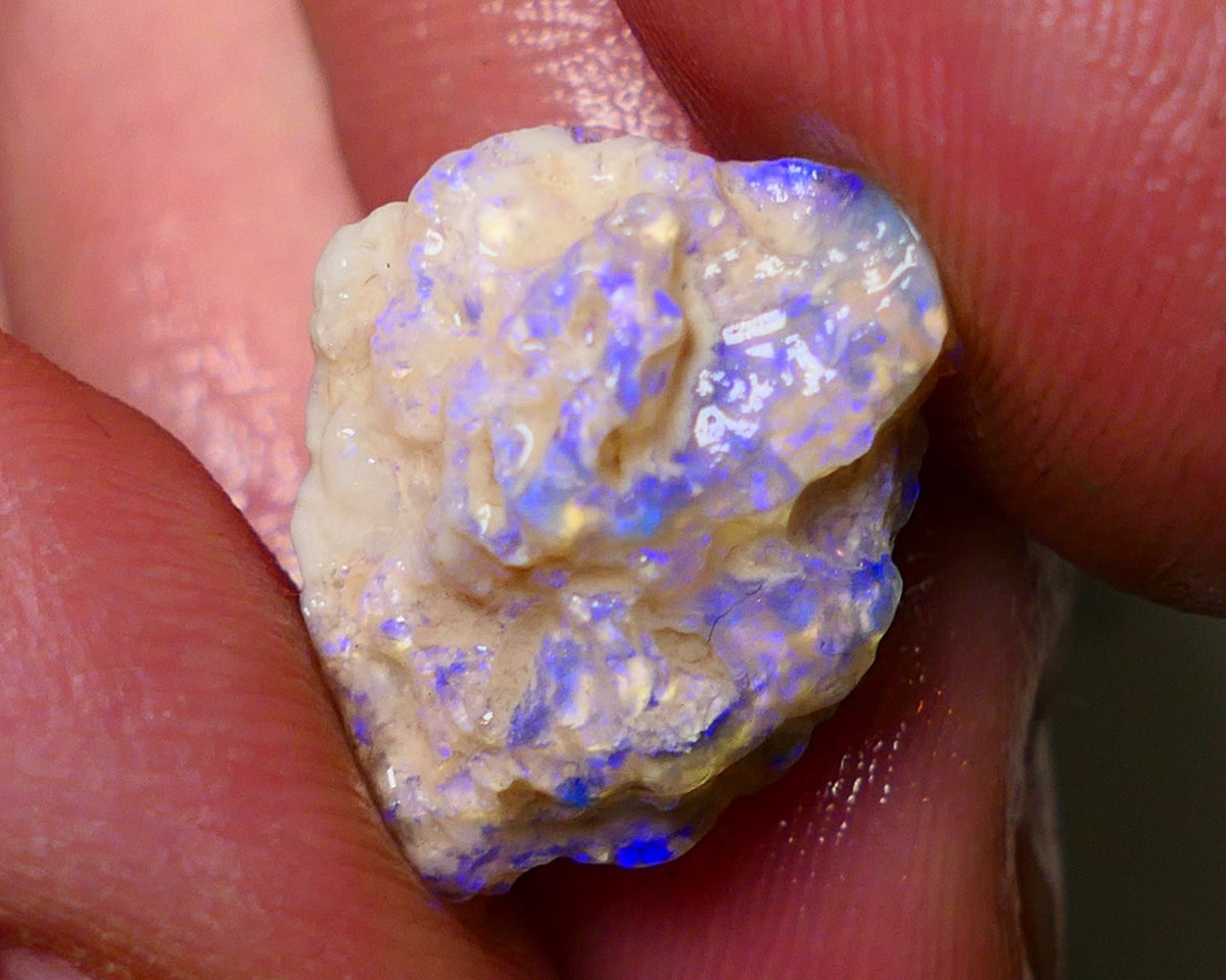 Lightning Ridge Rough Opal 10cts Crystal Base Gamble Knobby formation Lots blue fires 20x15x11mm Auction NS002