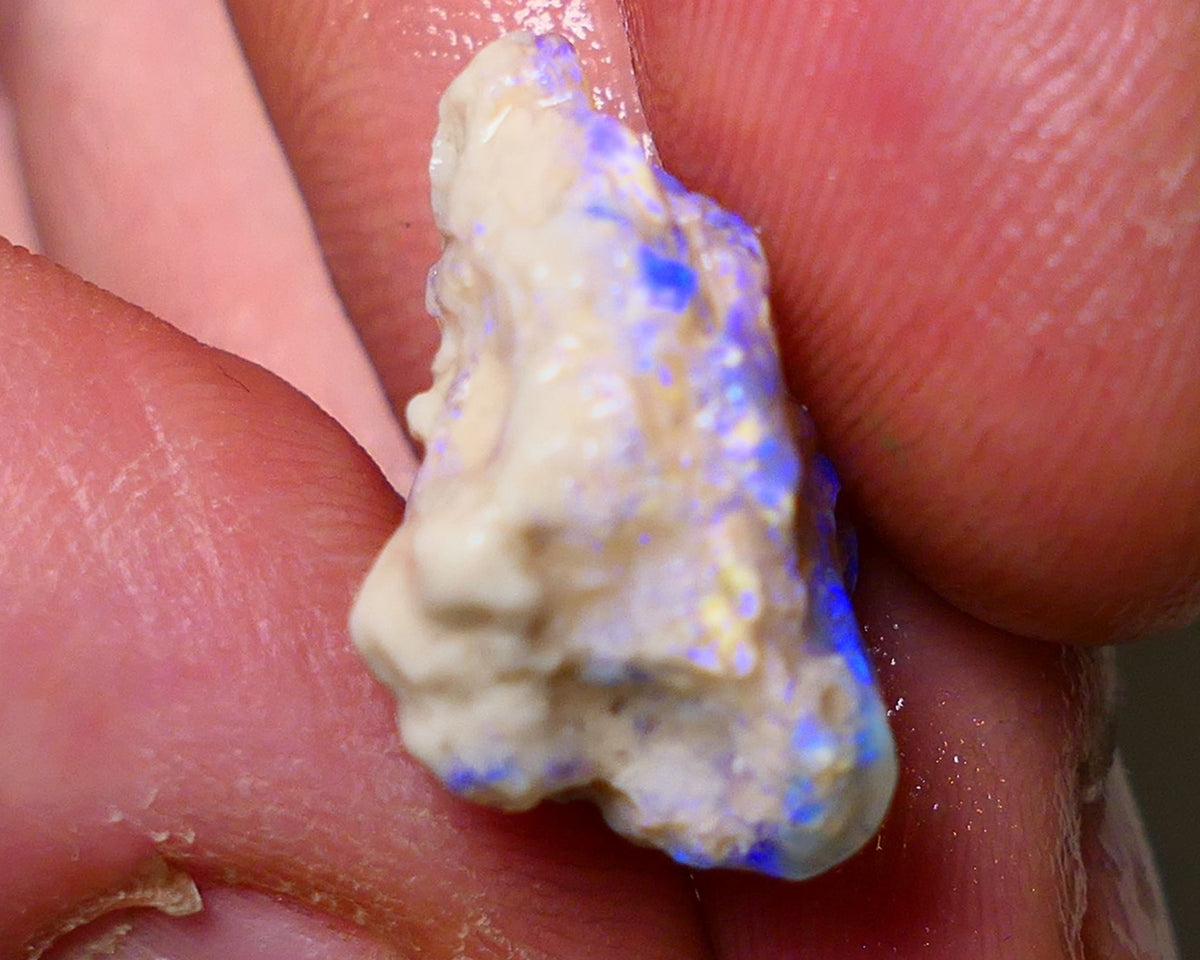 Lightning Ridge Rough Opal 10cts Crystal Base Gamble Knobby formation Lots blue fires 20x15x11mm Auction NS002