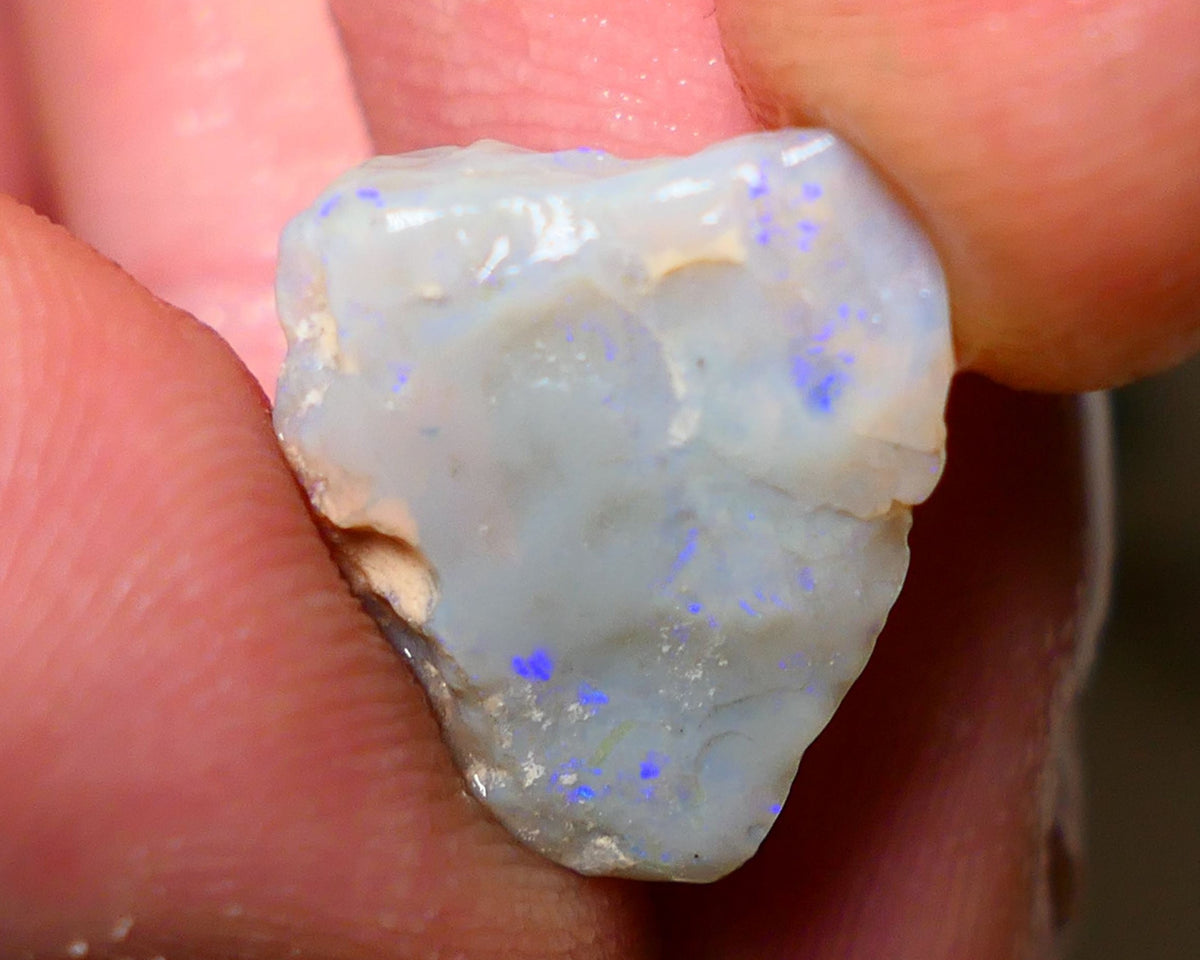 Lightning Ridge Rough Opal 6.50cts Dark Base Gamble Seam some Blue fires in the bar 16x14x6mm Auction NS004