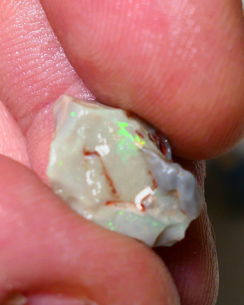 Lightning Ridge Rough Opal pair 14cts Gamble Dark Base Seam some Multifires showing 17x13x9mm & 17x15x5mm NS006