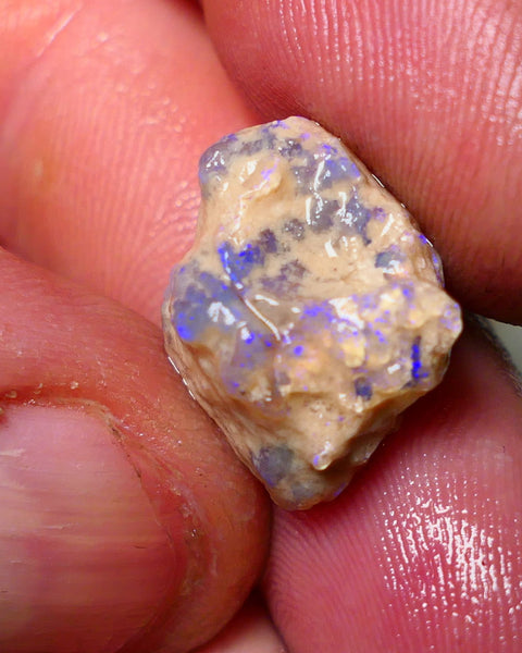 Lightning Ridge Rough Opal 11cts Crystal Base Gamble Knobby formation some  blue fires 18x16x10mm Auction NS013