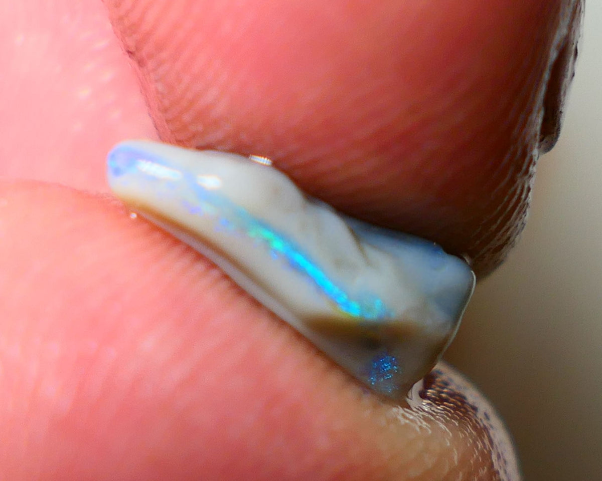 Lightning Ridge Rough Opal 1.70cts Small sized Dark Base Gamble Seam Bright Green/Blue fires in the bar 13x6x5mm Auction NS014