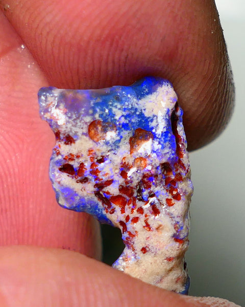 Lightning Ridge Rough Opal 5.5cts Dark Base Seam Gorgeous Vibrant bright blues colours 20x11x5mm NS055