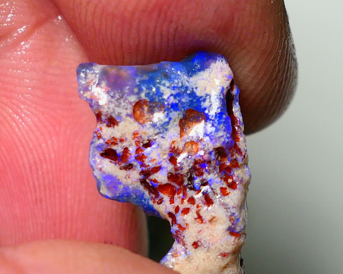 Lightning Ridge Rough Opal 5.5cts Dark Base Seam Gorgeous Vibrant bright blues colours 20x11x5mm Auction NS055