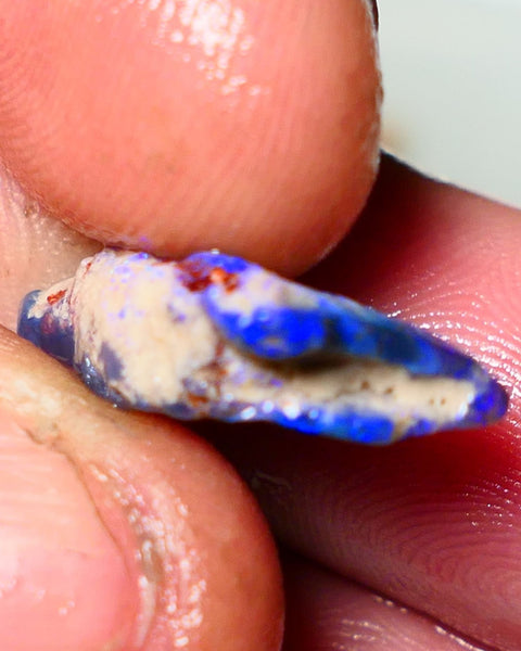 Lightning Ridge Rough Opal 5.5cts Dark Base Seam Gorgeous Vibrant bright blues colours 20x11x5mm Auction NS055