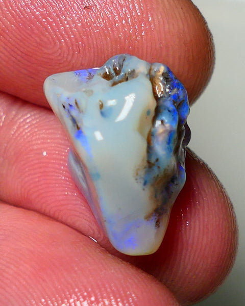 Lightning Ridge Rough Opal 14.50cts Dark Base Gamble Knobby formation Gorgeous blue fires 20x12x12mm Auction NS052