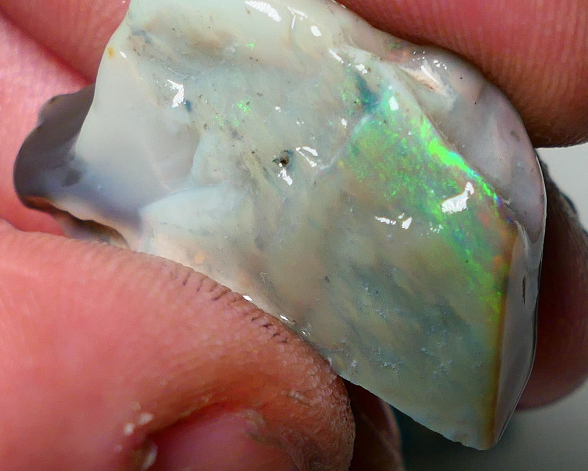 Lightning Ridge Rough Opal 32cts Big sized Yellow/Green on Dark Seam Gamble 31x20x11mm NS049