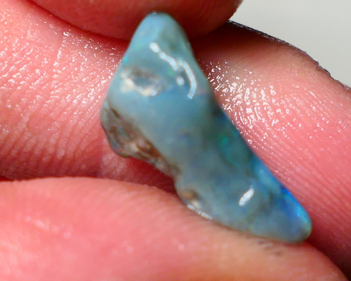 Lightning Ridge Rough Opal 5.75cts Dark Base Seam showing Nice bright blues colours 18x8x7mm NS047