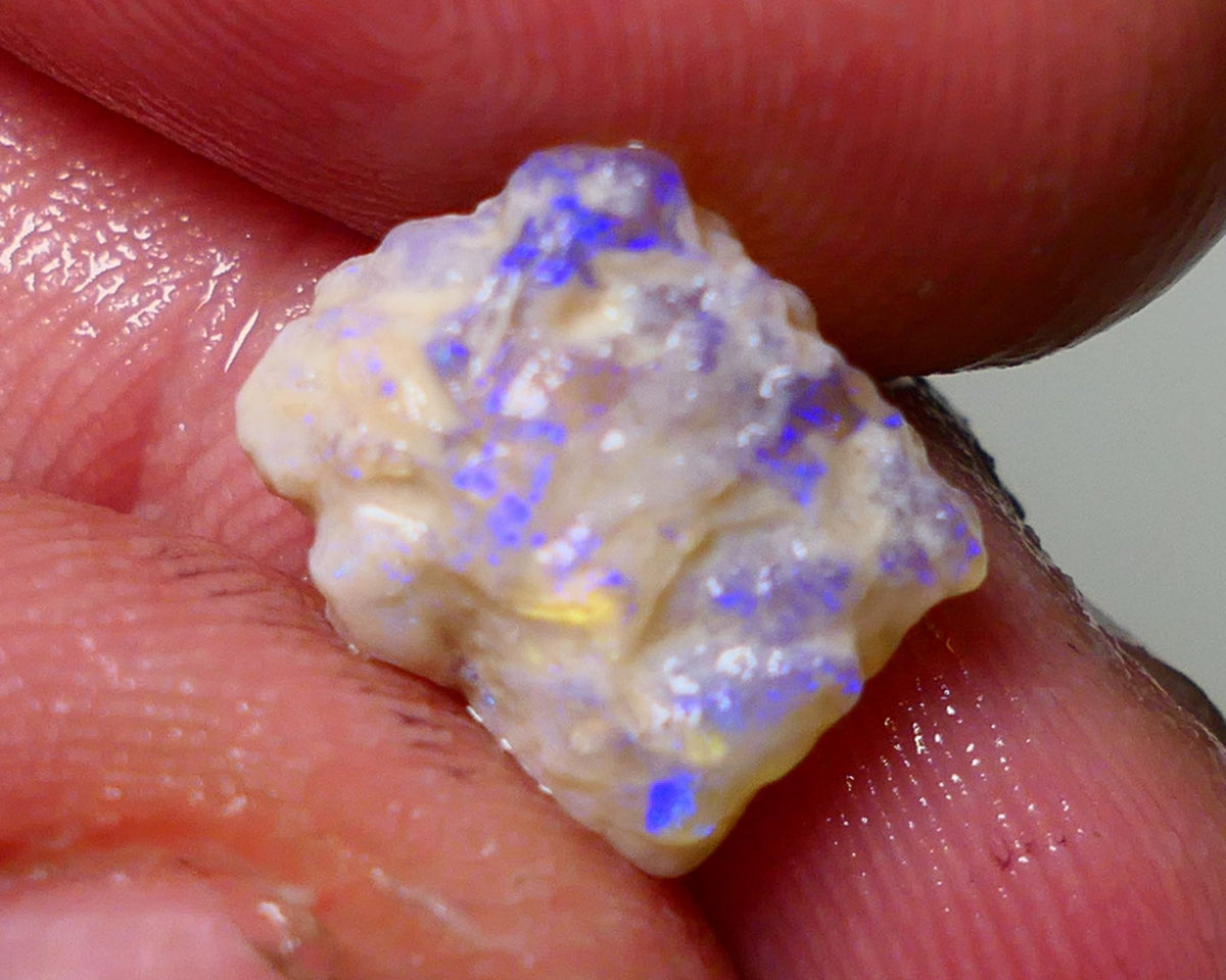 Lightning Ridge Rough Opal 4.75cts Dark Crystal Base Gamble Knobby formation showing blue fires 12x10x7mm Auction NS045