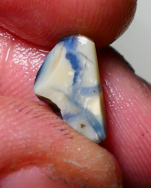 Lightning Ridge Opal Dark Black/Crystal Base Seam Rough Rub 2.50cts Some nice blue fires 12x8x3mm NS043