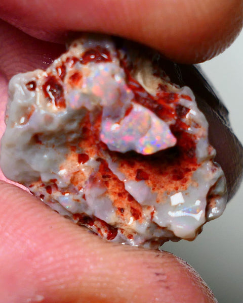 Lightning Ridge Rough Opal 15cts Dark Base Gamble Knobby formation Pinks & Multifires fires 20x17x10mm Auction NS041